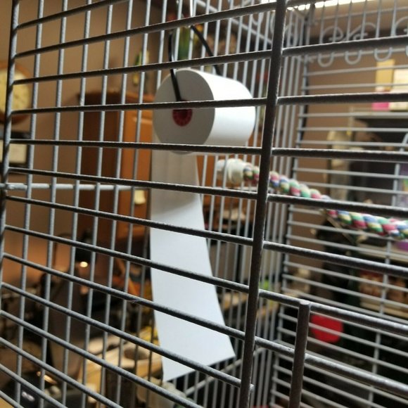 3 Rolls Register Adding Machine Paper for Birds - Picture 2 of 2